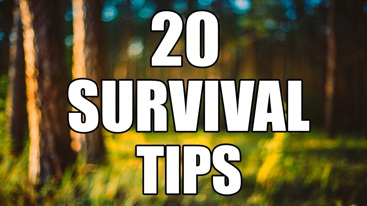 20 Wilderness Survival Tips!